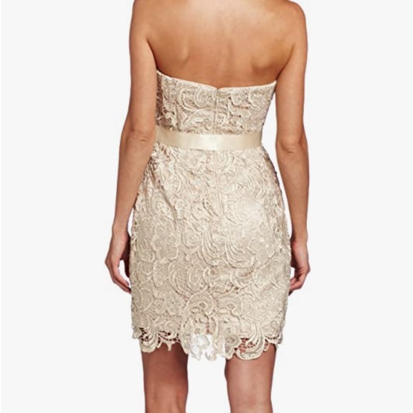 Champagne Lace Rehearsal Dinner Dress - Picture 5 of 6